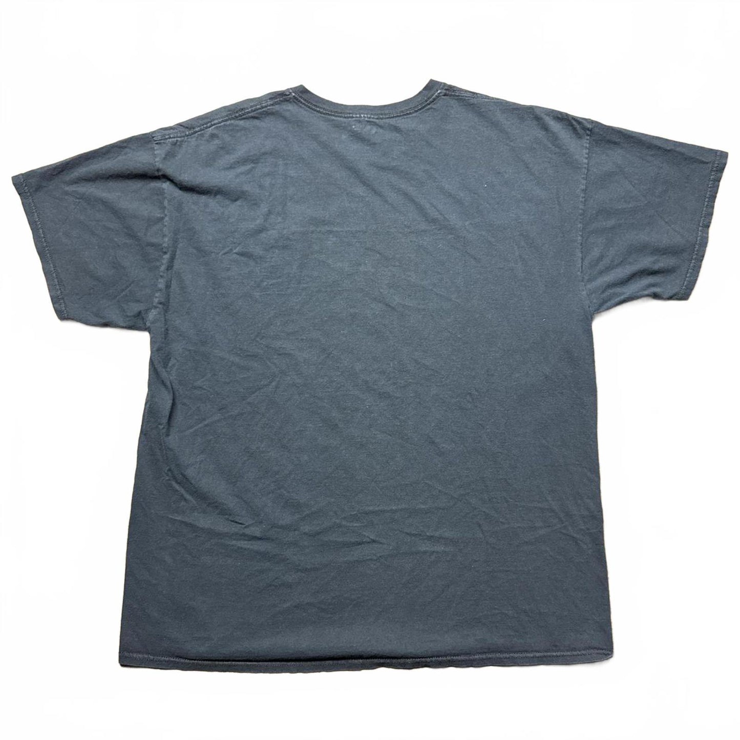 Native Indian Psychedelic Y2k Graphic T-Shirt [COPY]