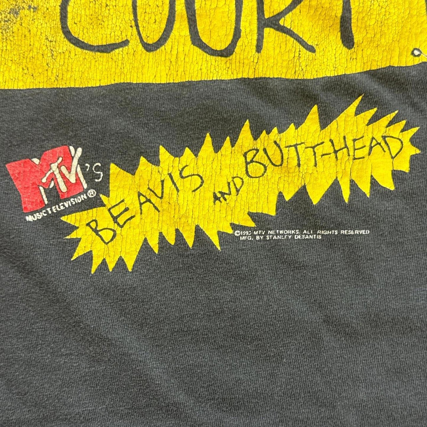 Stanley Desantis Beavies & Butthead Insect Court 1993 TShirt [COPY]