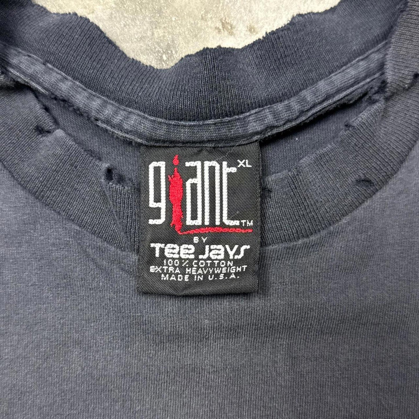 Gargoyles "The Night Will Never Be The Same" 90's T-Shirt [COPY]