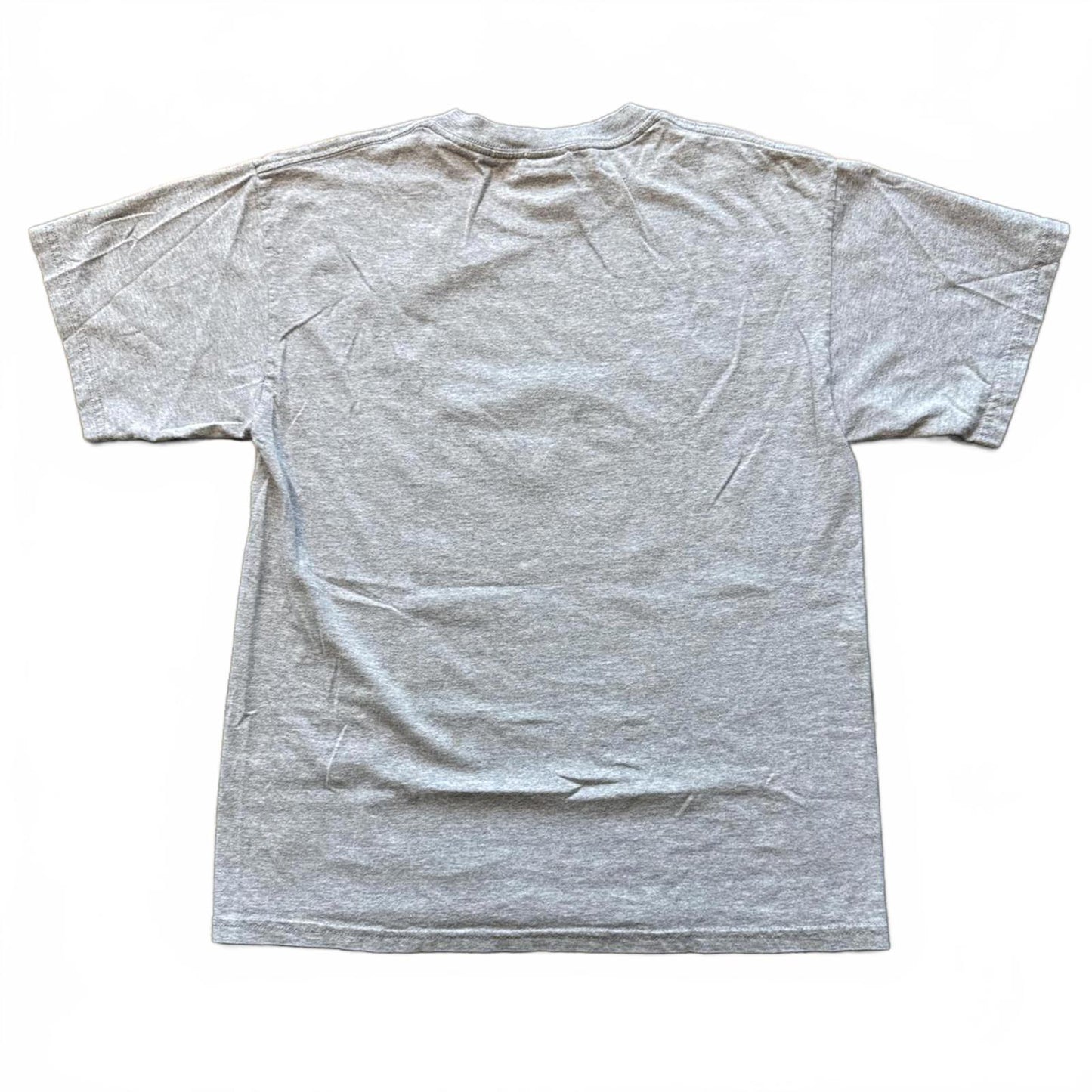 Scooby Doo Halloween Y2k "Nothing But Treats" T-Shirt [COPY]