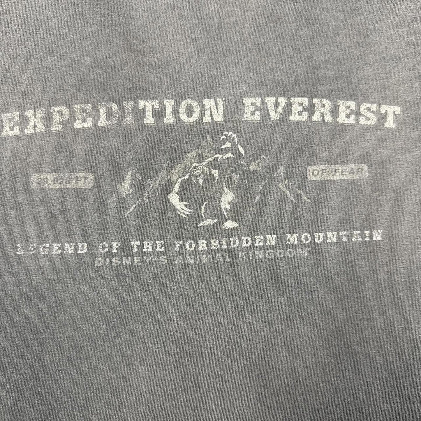 Everest Expedition Faded Graphic 1999 T-Shirt  [COPY]