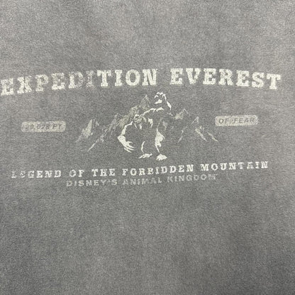 Everest Expedition Faded Graphic 1999 T-Shirt  [COPY]