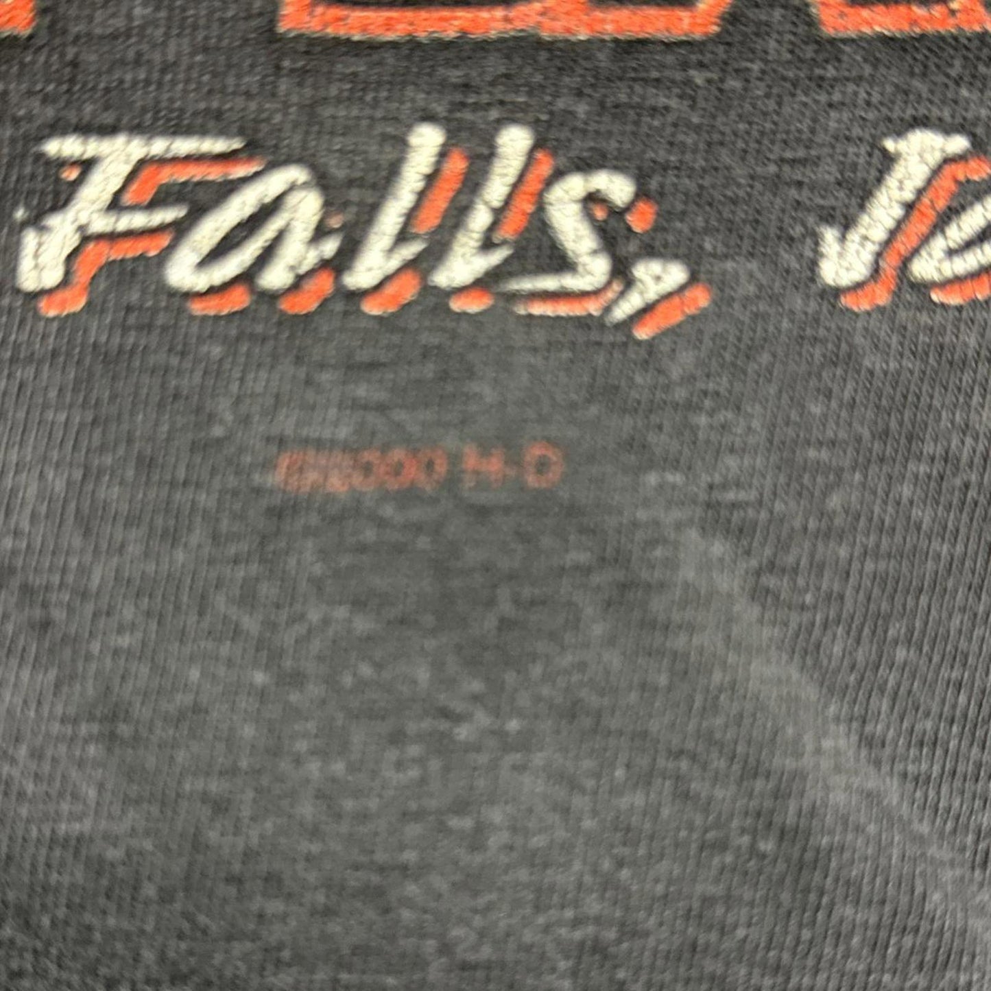 Harley Davidson Motorcylce Faded 2000 Eagle & Snake T-Shirt [COPY]