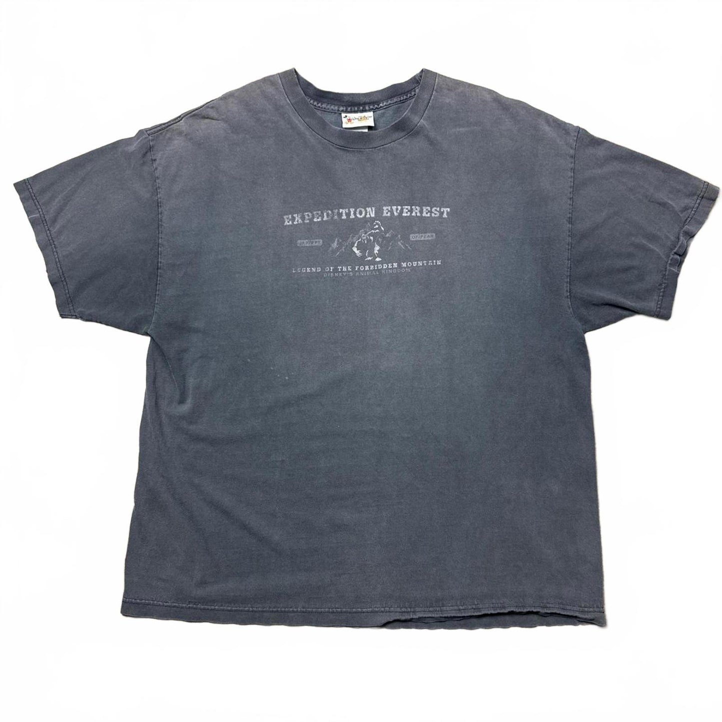 Everest Expedition Faded Graphic 1999 T-Shirt  [COPY]