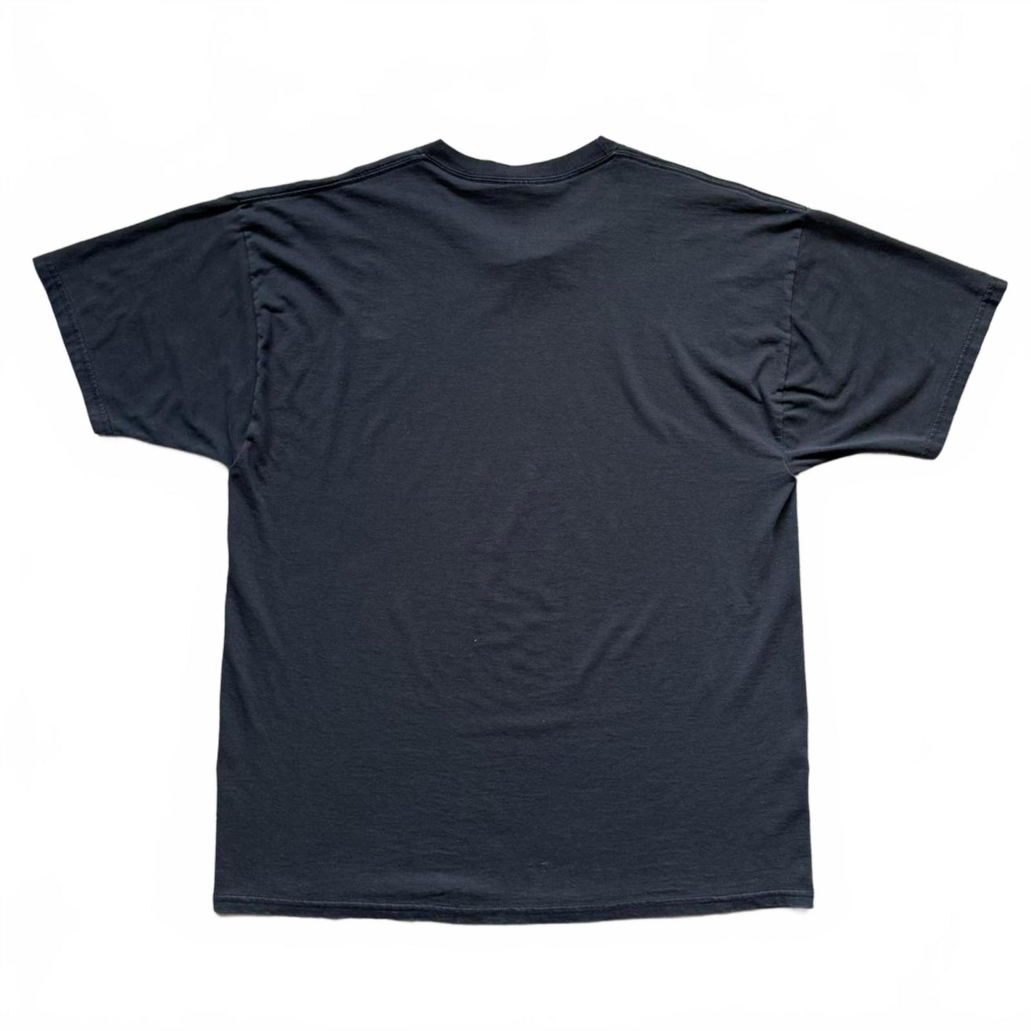 Flying Turtle Productions “Art: Dithrich” Y2K Faded T-Shirt [COPY]