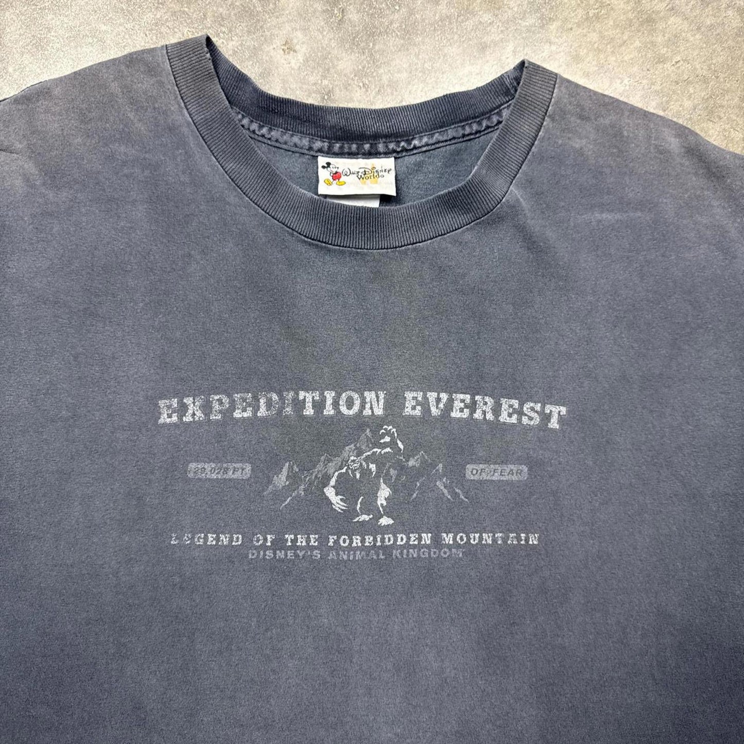 Everest Expedition Faded Graphic 1999 T-Shirt  [COPY]