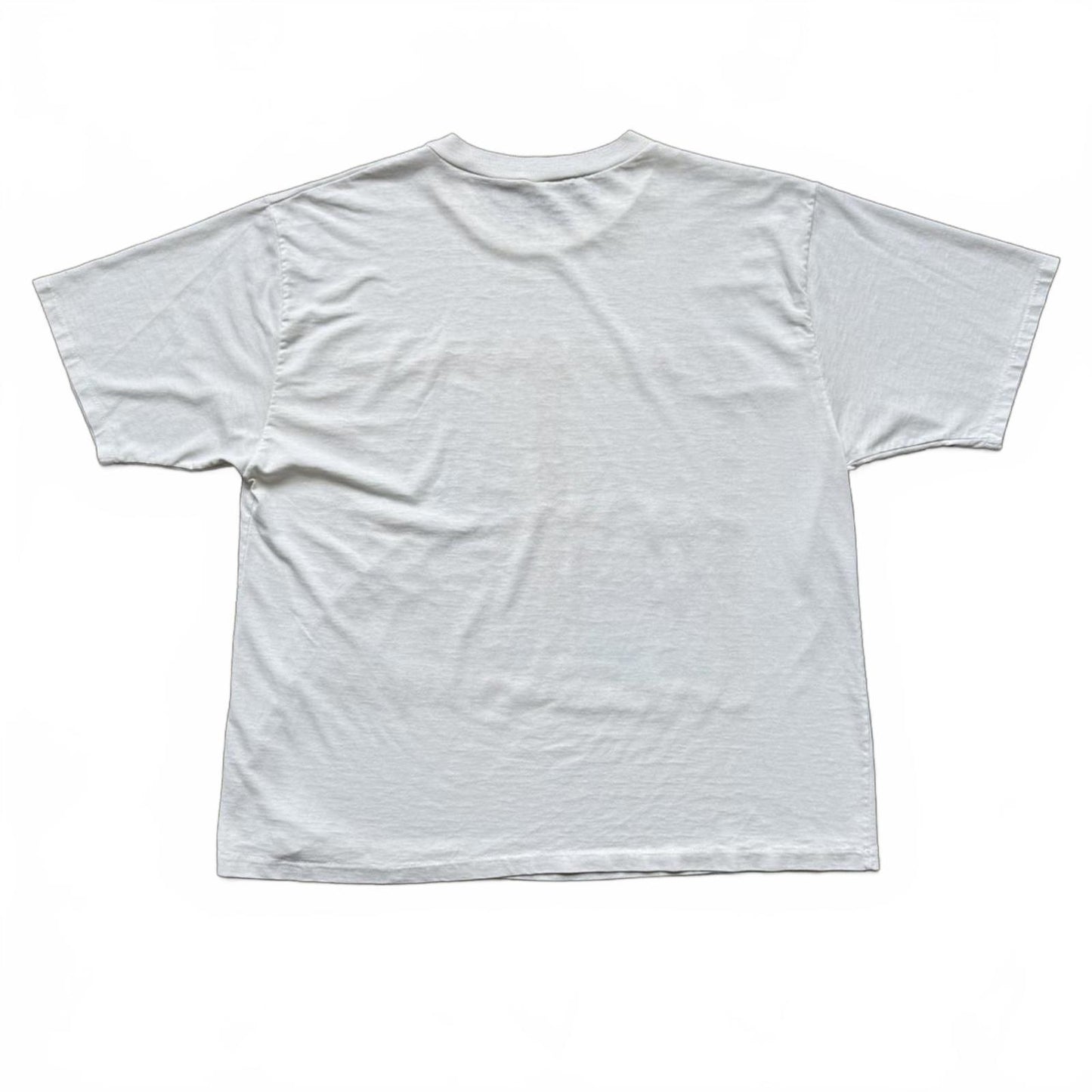 Window With Cactus Vintage Faded Graphic T-shirt [COPY]