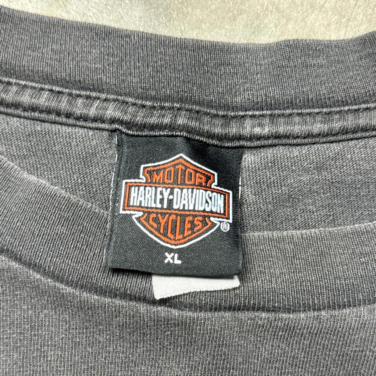 Harley Davidson Motorcylce Faded 2000 Eagle & Snake T-Shirt [COPY]