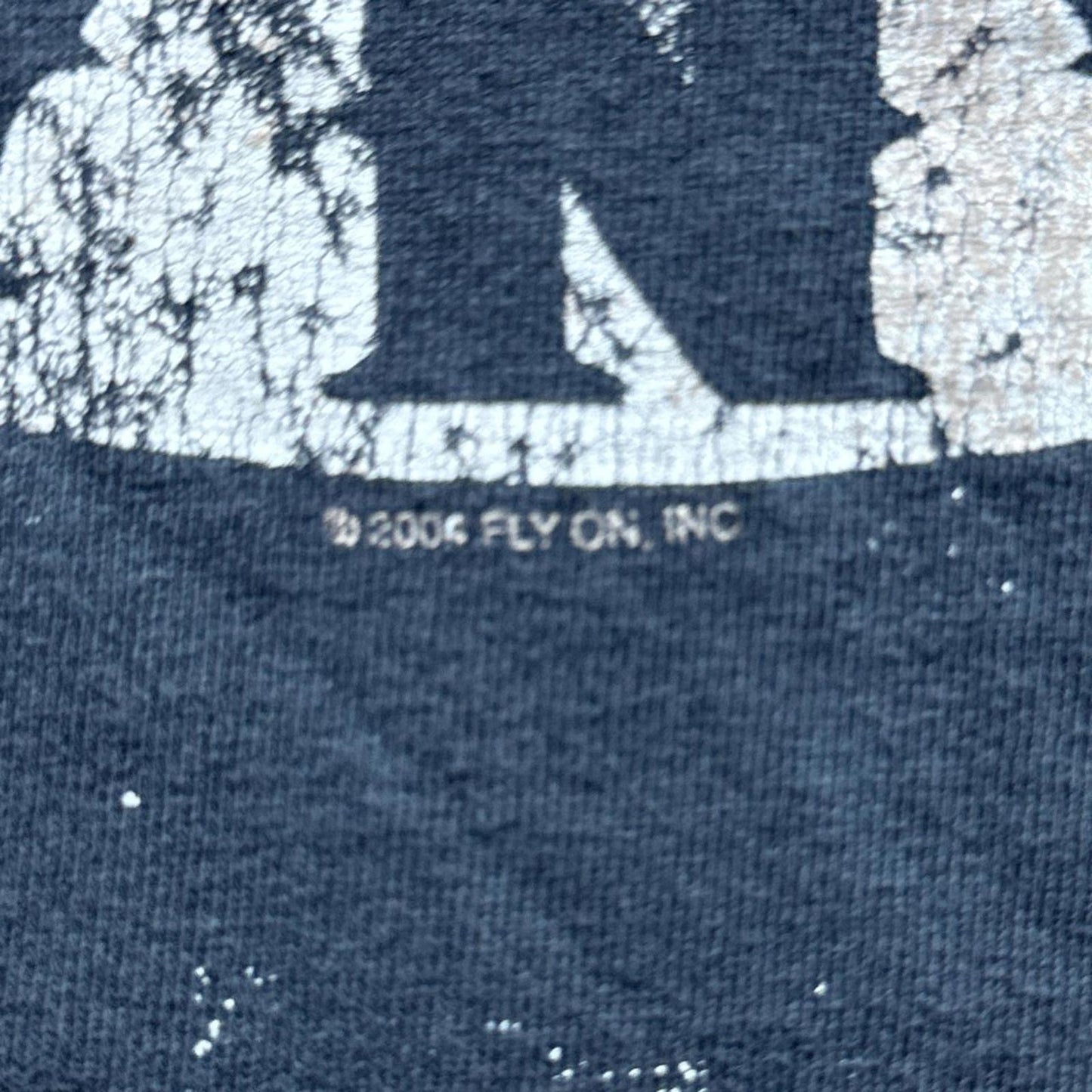 Faded 2005 Tennessee River Lynyrd Skynyrd Y2K Band T-shirt  [COPY]